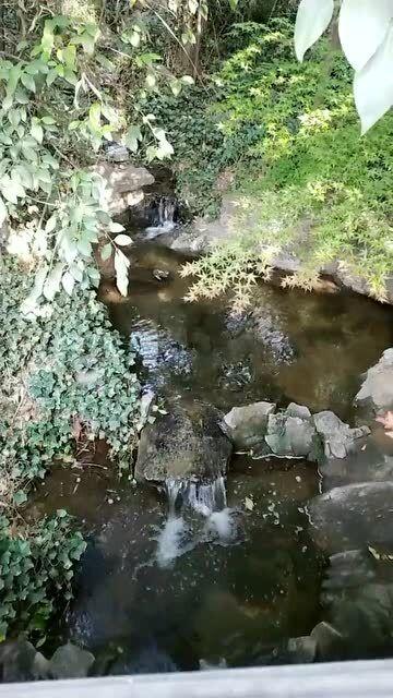 爱搞视频苹果手机怎么用游戏画面